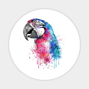 Macaw Magnet